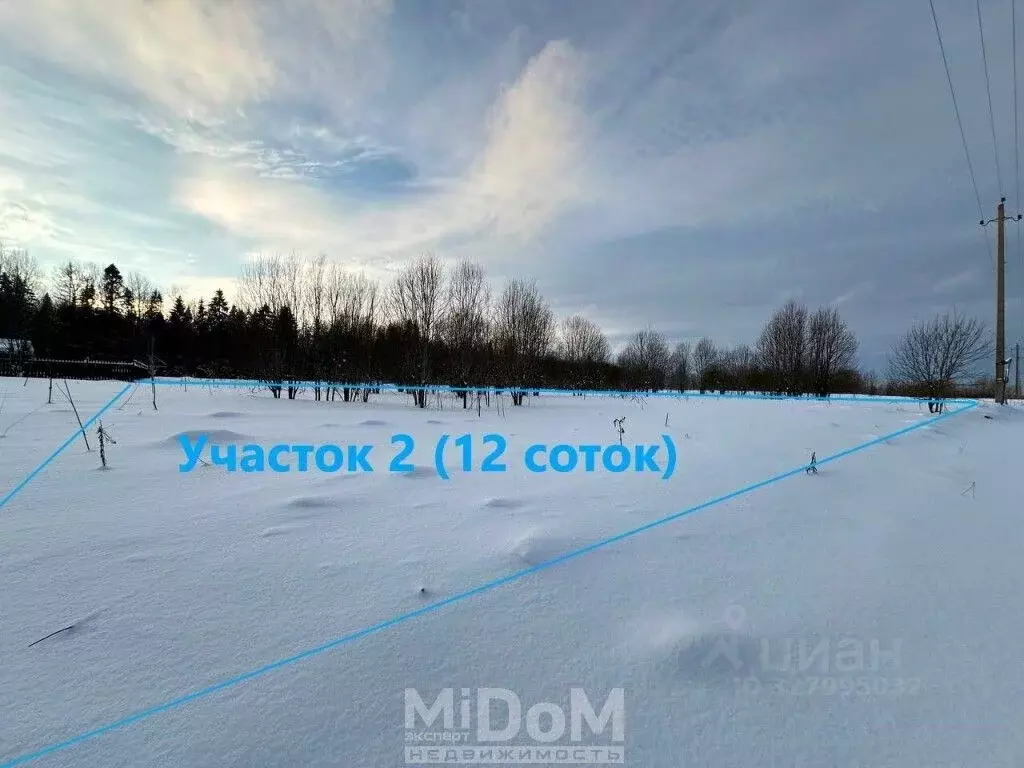 Участок в Ленинградская область, Ломоносовский район, Лопухинское ... - Фото 1