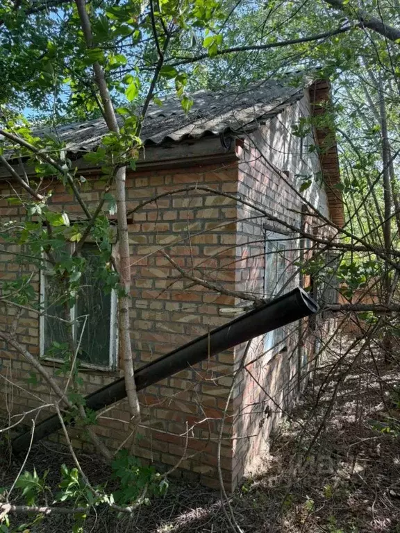 Участок в Ростовская область, Родионово-Несветайский район, ... - Фото 1