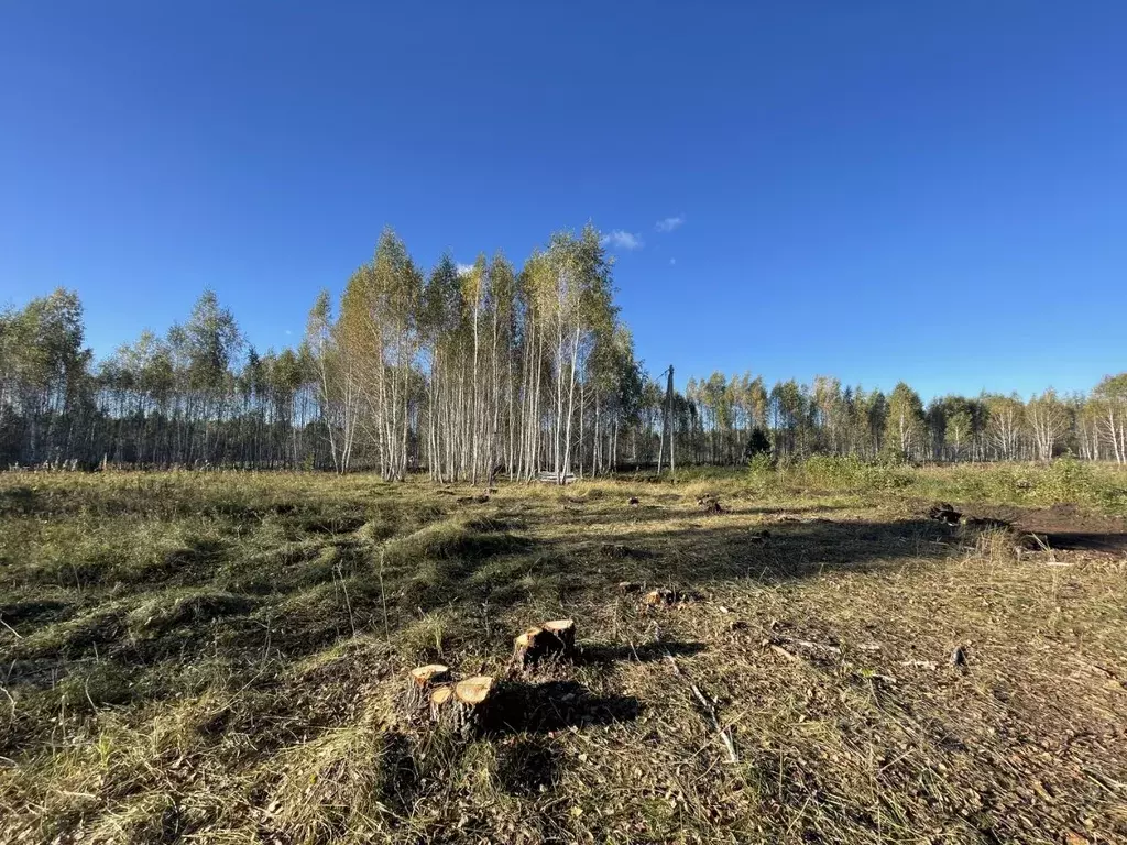 Участок в Челябинская область, Сосновский район, Кременкульское с/пос, ... - Фото 1