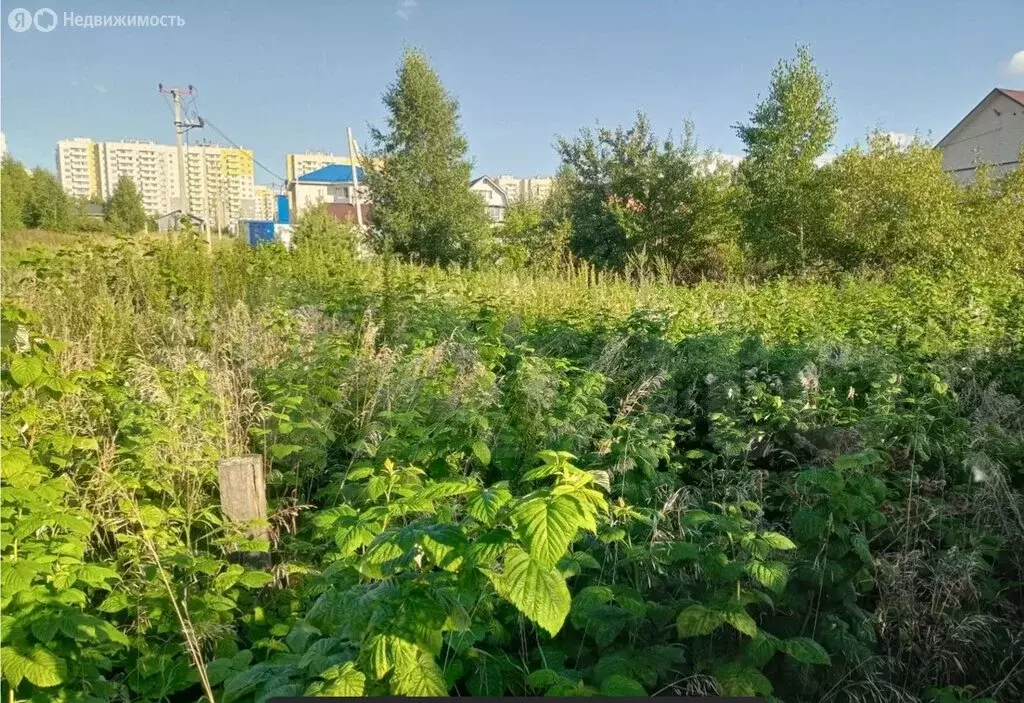 Участок в Солонцовский сельсовет, садоводческое товарищество ... - Фото 1