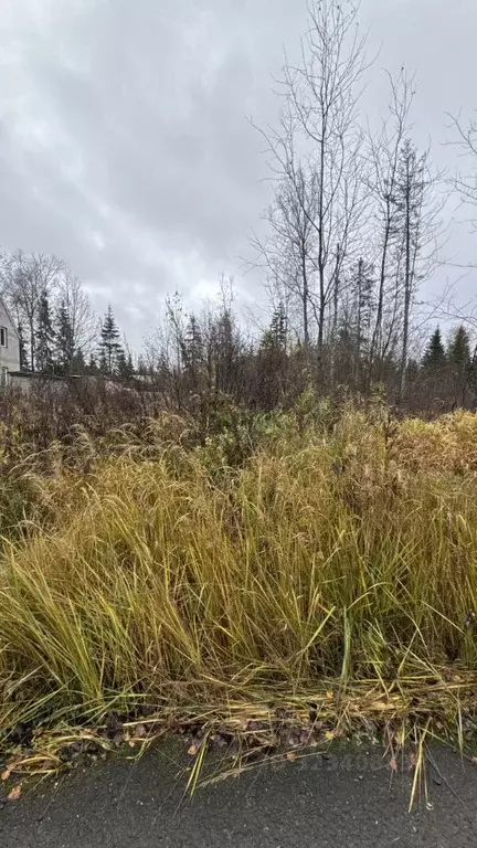 Участок в Московская область, Клин городской округ, Лесной ДСК 174 ... - Фото 2