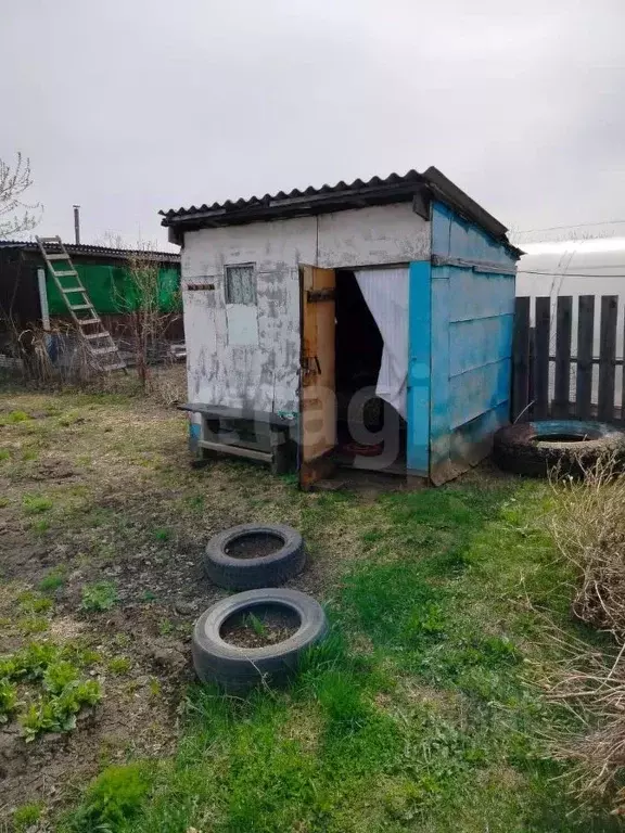 Участок в Новосибирская область, Бердск Восток-1 СНТ, ул. Озерная, 172 ... - Фото 1