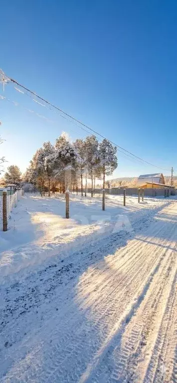 Участок в Воронежская область, Рамонский район, Новоживотинновское ... - Фото 1
