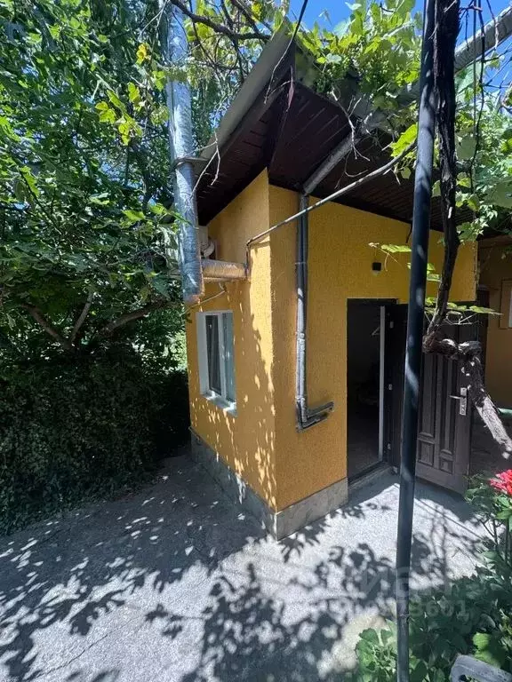 Студия Крым, Ялта ул. Толстого, 8 (9.0 м) - Фото 1