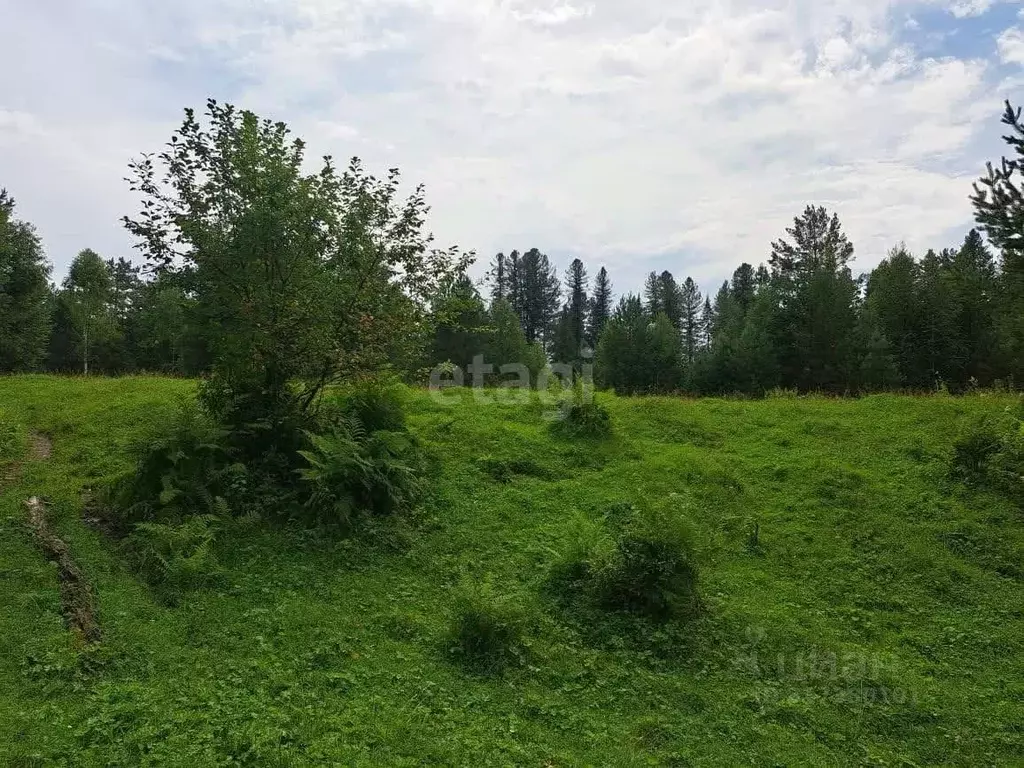 Участок в Алтай, Турочакский район, с. Кебезень  (210.7 сот.) - Фото 1