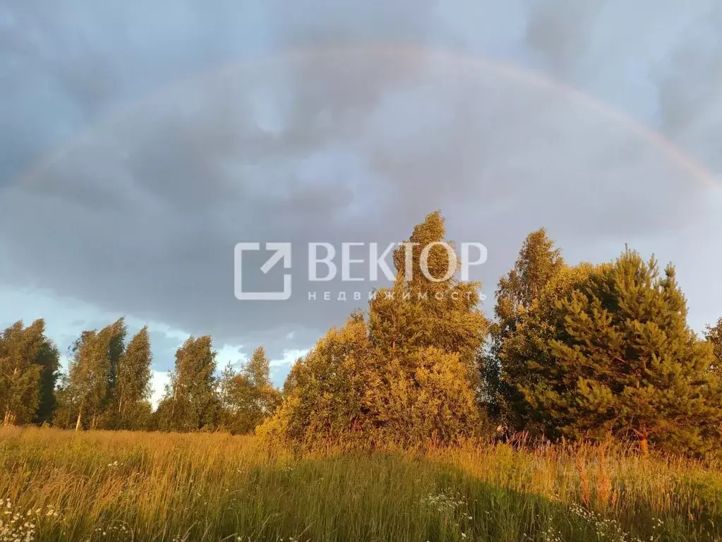 Участок в Костромская область, Кострома  (12.2 сот.) - Фото 2