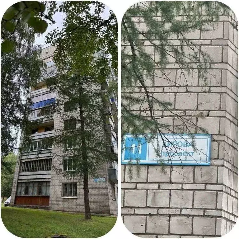 2-к кв. Кировская область, Кирово-Чепецк просп. Кирова, 11 (50.3 м) - Фото 2