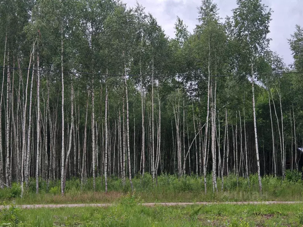 Участок в Тульская область, Заокский район, Страховское с/пос, д. ... - Фото 1