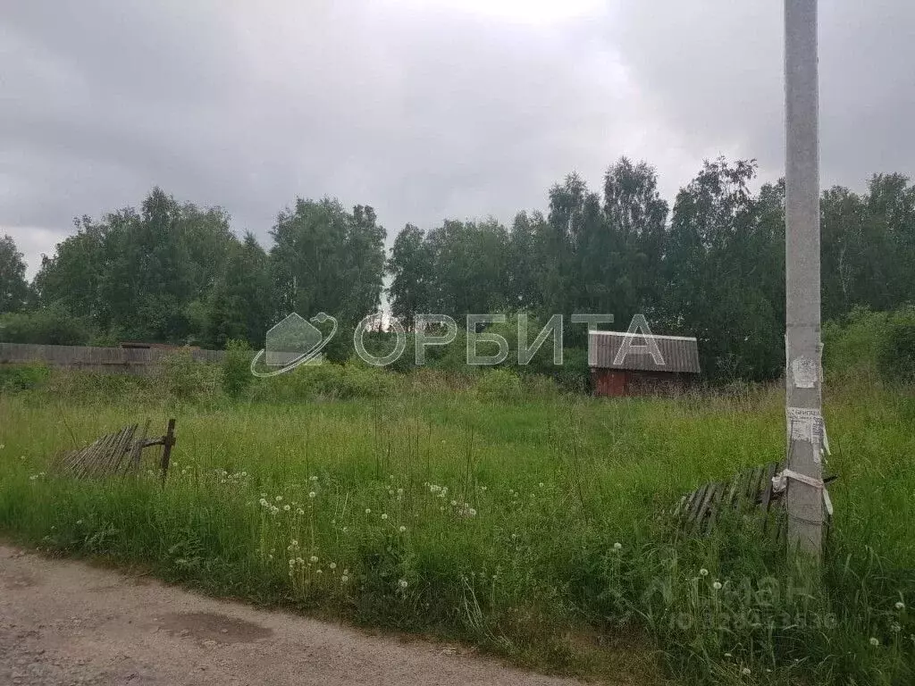 Участок в Тюменская область, Нижнетавдинский муниципальный округ, ... - Фото 2