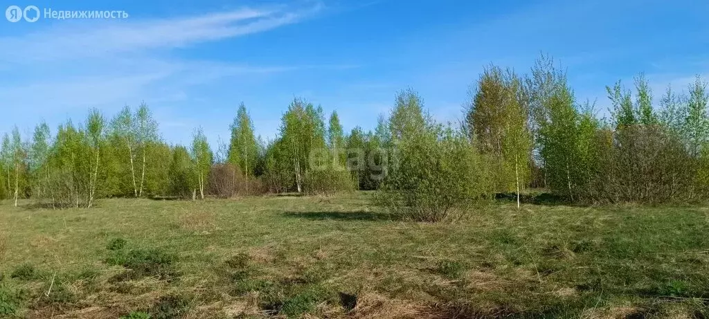 Участок в Выкса, улица Локтя (1074 м) - Фото 2