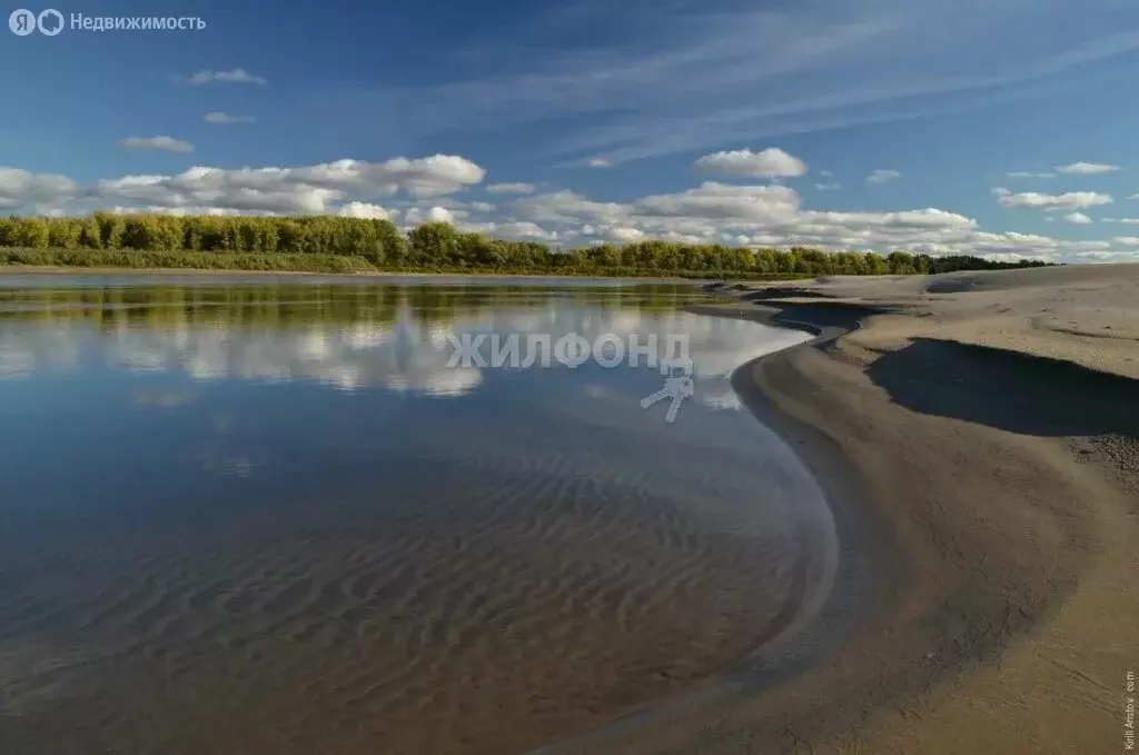 Участок в Чаинский район, село Коломино, Светлая улица (25 м) - Фото 0