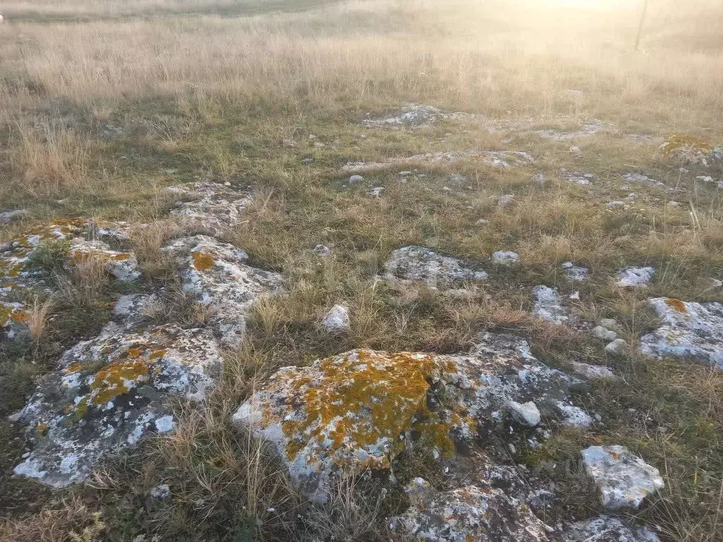 Участок в Крым, Ленинский район, Семисотское с/пос, с. Каменское ул. ... - Фото 1