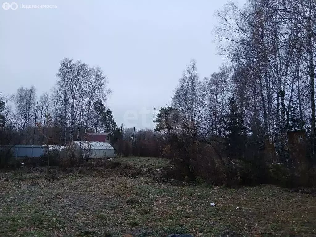 Участок в Новосибирск, НСТ Конструктор (5.5 м) - Фото 1