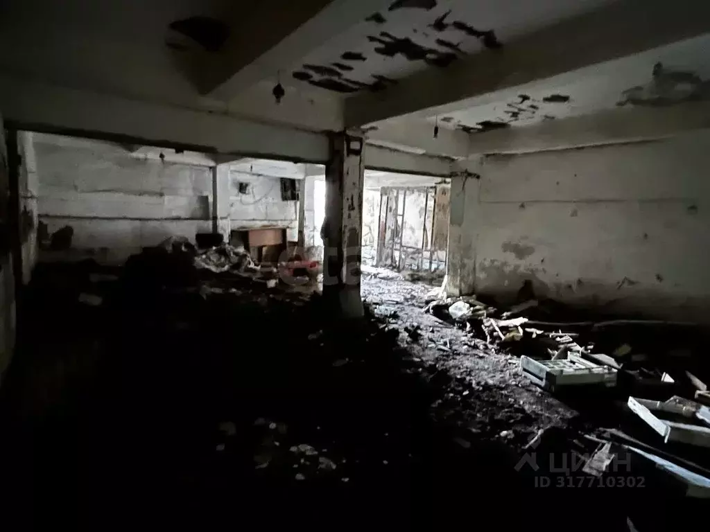 Склад в Саратовская область, Саратов ул. Имени Н.Г. Чернышевского, 135 ... - Фото 1