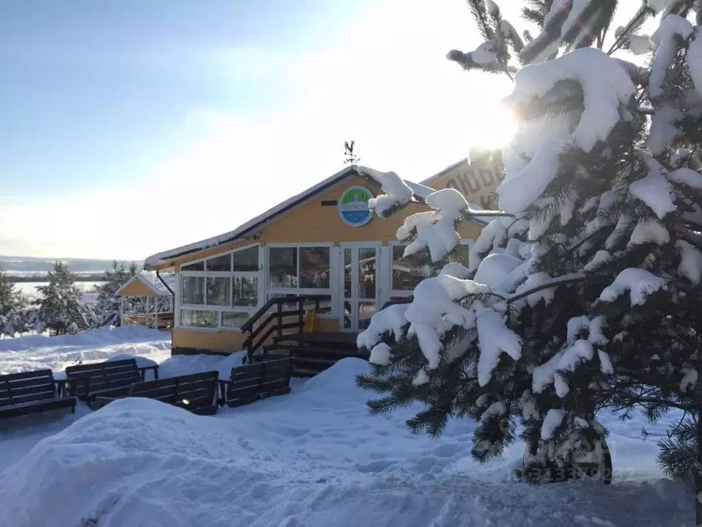 Комната Новгородская область, Любытинское с/пос, д. Бор 134 (10.0 м) - Фото 2