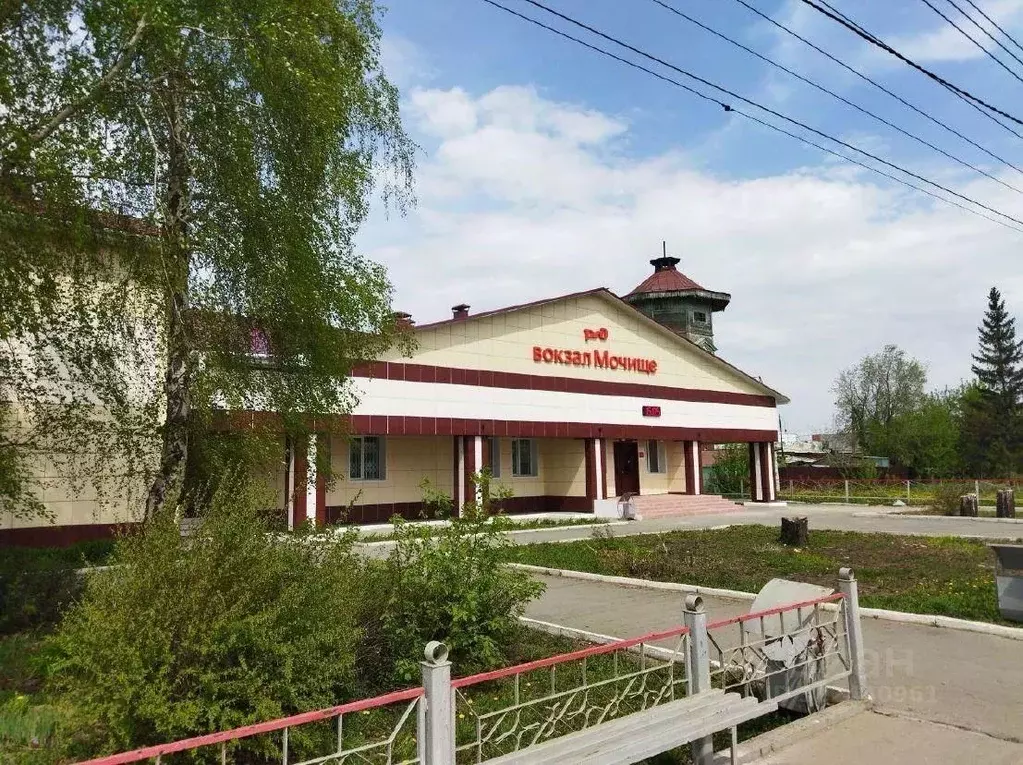 Торговая площадь в Новосибирская область, Новосибирский район, ... - Фото 0