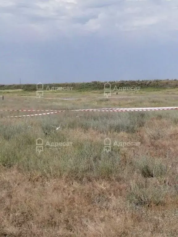 Участок в Волгоградская область, Светлоярский район, Дубовоовражное ... - Фото 1