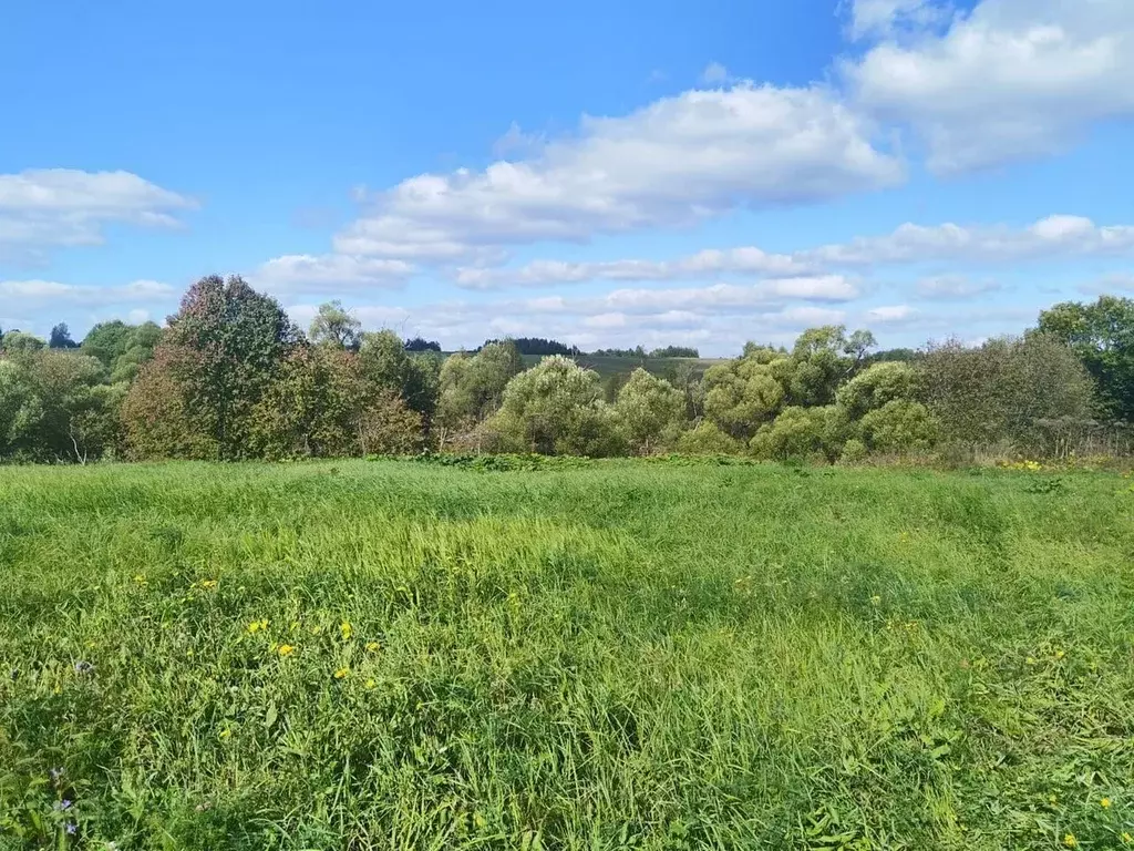 Участок в Московская область, Сергиево-Посадский городской округ, д. ... - Фото 1