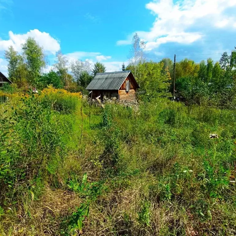 Участок в Новосибирская область, Новосибирский район, Барышевский ... - Фото 2