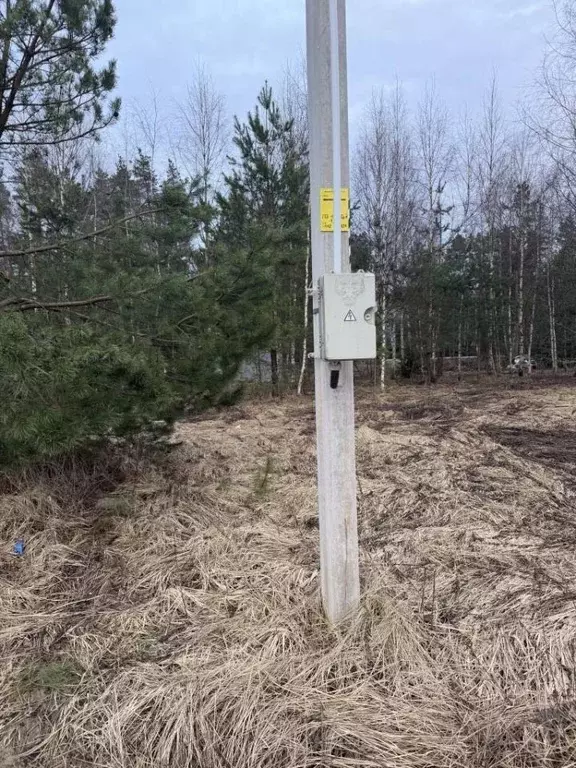Участок в Московская область, Щелково городской округ, д. Протасово ... - Фото 2