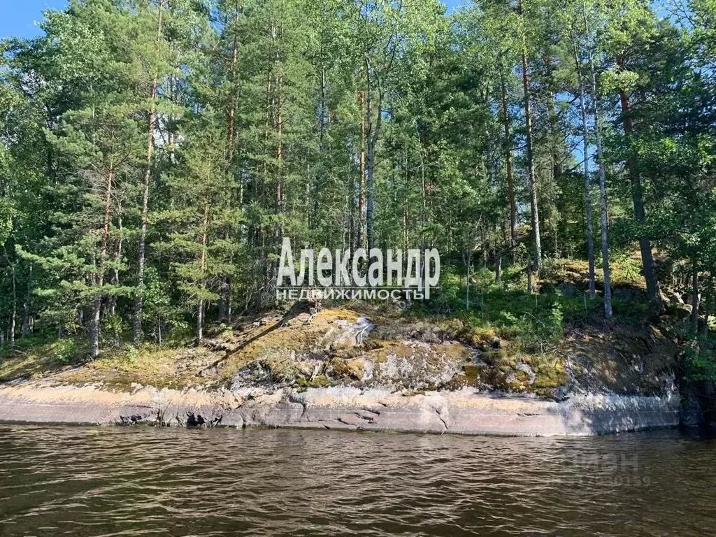 Участок в Ленинградская область, Приозерский район, Мельниковское ... - Фото 1