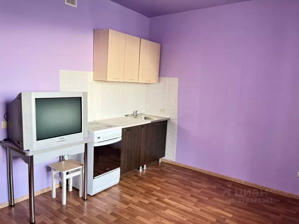 Студия Новосибирская область, Новосибирск ул. Одоевского, 1/11 (20.0 ... - Фото 1