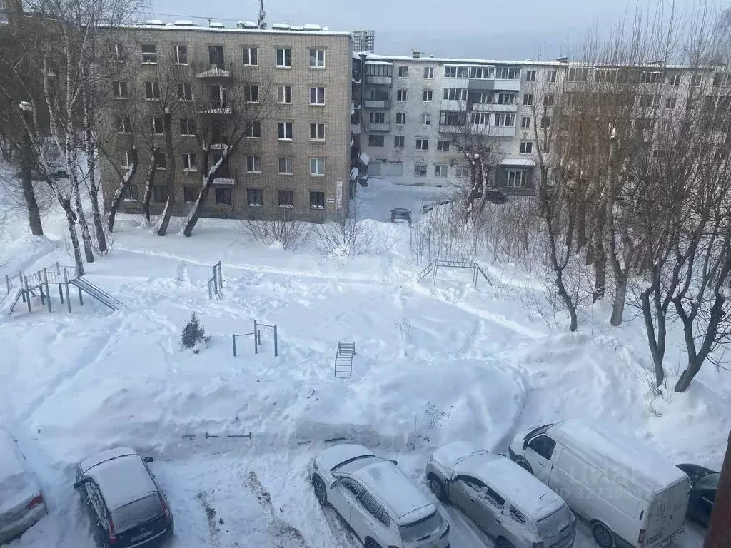 3-к кв. Пермский край, Пермь ул. Блюхера, 3 (62.0 м) - Фото 1