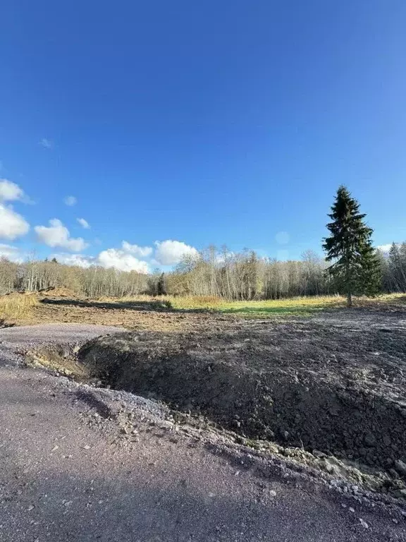 Участок в Ленинградская область, Ломоносовский район, Гостилицкое ... - Фото 1