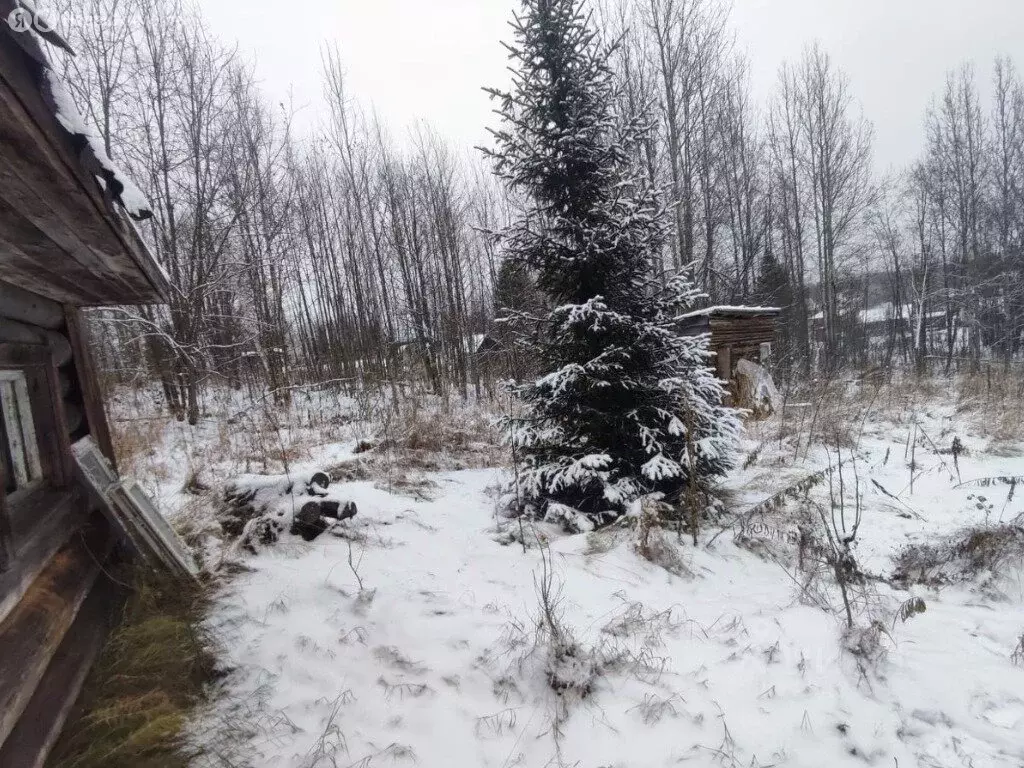 Участок в Республика Коми, муниципальный район Сыктывдинский, ... - Фото 2