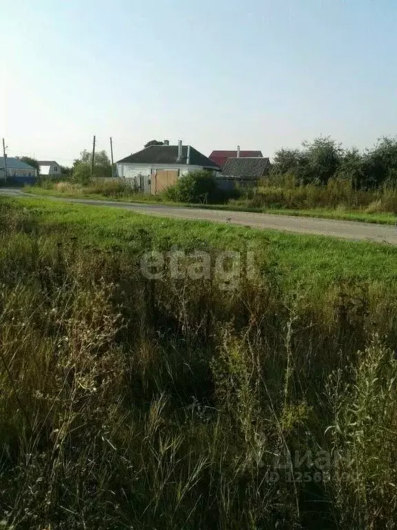 Участок в Воронежская область, Рамонский район, с. Айдарово  (15.0 ... - Фото 1