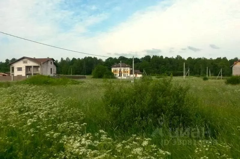 Участок в Ленинградская область, Ломоносовский район, Виллозское ... - Фото 1
