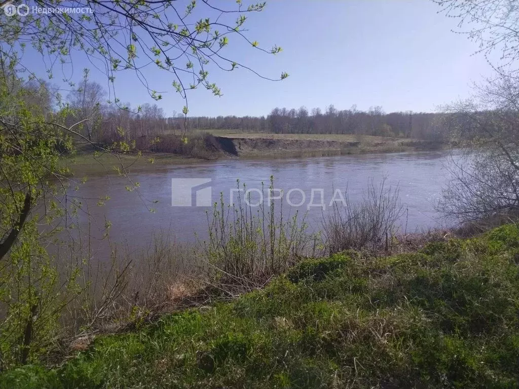 Участок в Новосибирский район, Берёзовский сельсовет, садовое ... - Фото 1