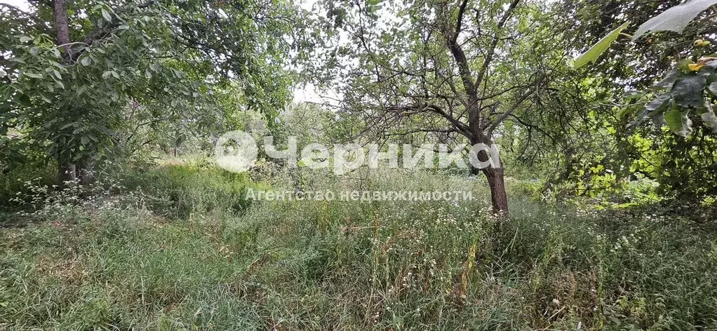 Участок 12 сот. (СНТ, ДНП) - Фото 1