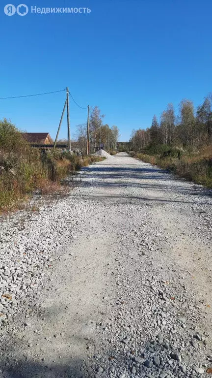 Участок в село Мостовское, Еловая улица, 12 (17 м) - Фото 0
