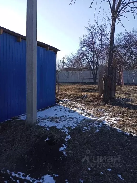 Участок в Белгородская область, Яковлевский городской округ, с. Шопино ... - Фото 0