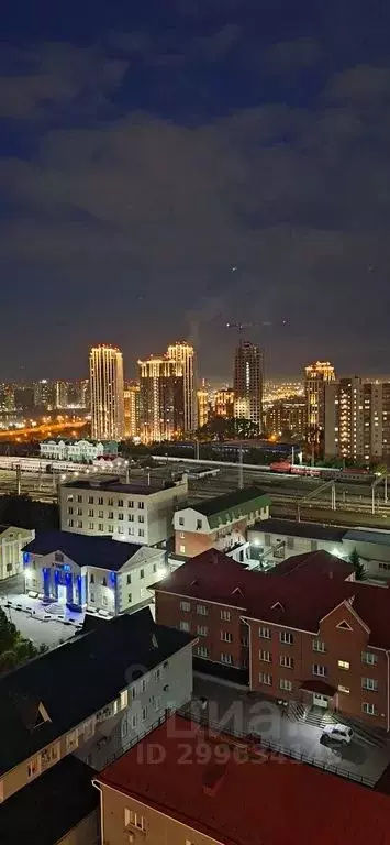 2-к кв. Новосибирская область, Новосибирск ул. Дмитрия Шамшурина, 29 ... - Фото 2