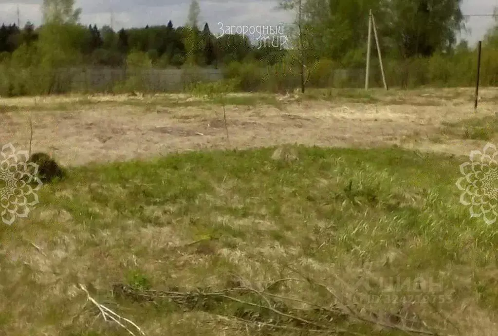 Участок в Московская область, Клин городской округ, ДНП Вишневый сад ... - Фото 2