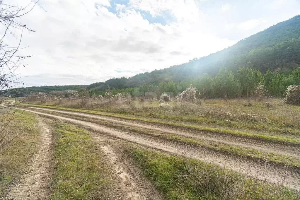 Участок в Бахчисарайский район, село Красный Мак (83.43 м) - Фото 1