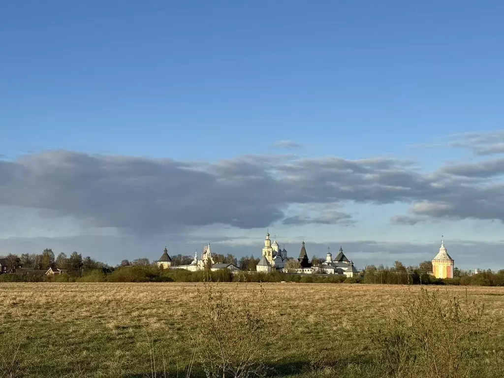 Участок в Вологодская область, Вологда ул. Спасская (10.0 сот.) - Фото 0