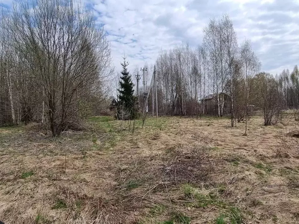 Участок в Тверская область, Калязинский муниципальный округ, д. ... - Фото 2