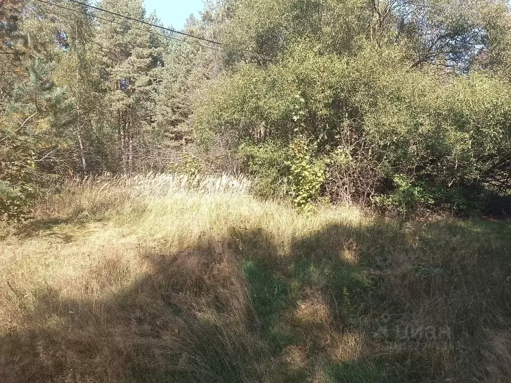 Участок в Московская область, Орехово-Зуевский городской округ, д. ... - Фото 2