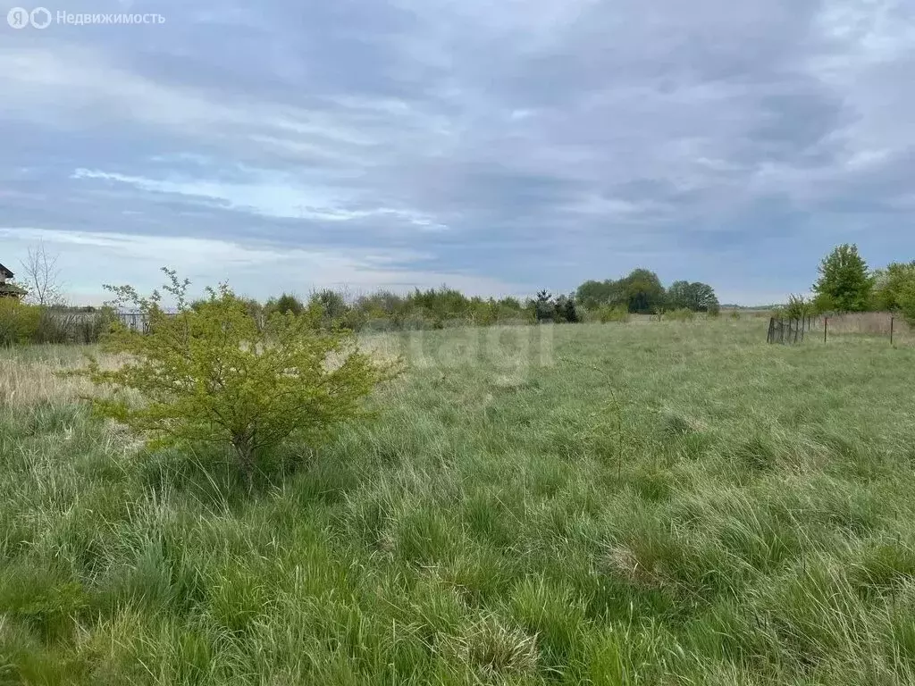 Участок в Гурьевск, СНТ Надежда-2 (5.37 м) - Фото 1
