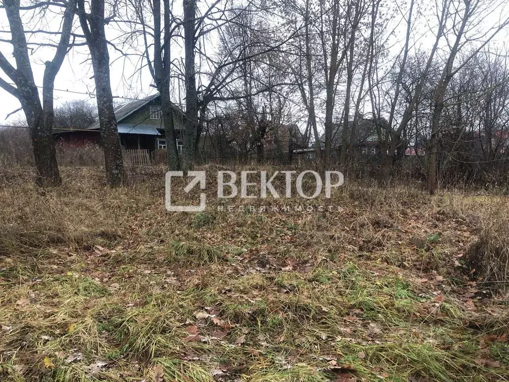 Участок в Ивановская область, Вичугский район, пос. Каменка ул. 25 ... - Фото 2