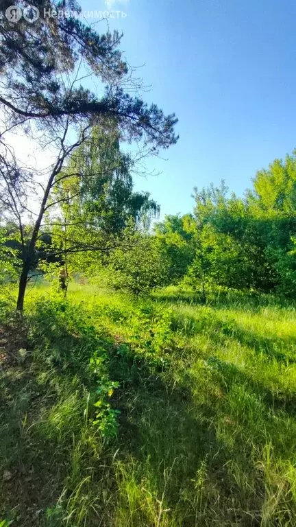 Участок в деревня Ванина, улица Комарёвка (1500 м) - Фото 1