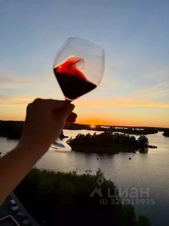 1-к кв. Ленинградская область, Выборг наб. Адмирала Чичагова, 6 (56.0 ... - Фото 1