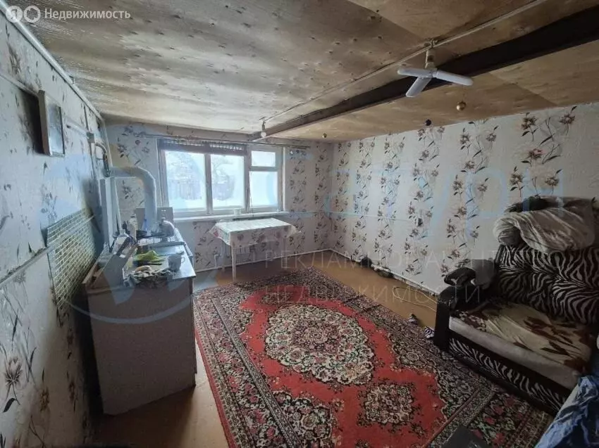 Дом в Курган, СТ Тепличный, 144А (30 м) - Фото 1