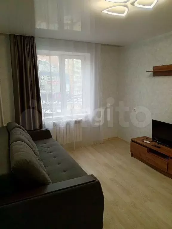 1-к. квартира, 26,5 м, 3/9 эт. - Фото 1