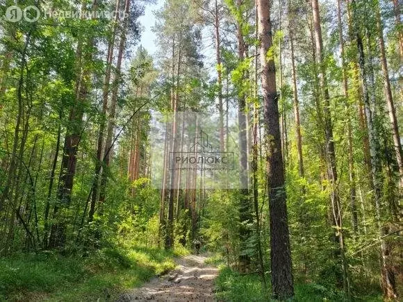 Участок в Свердловская область, Ревда (10.7 м) - Фото 0