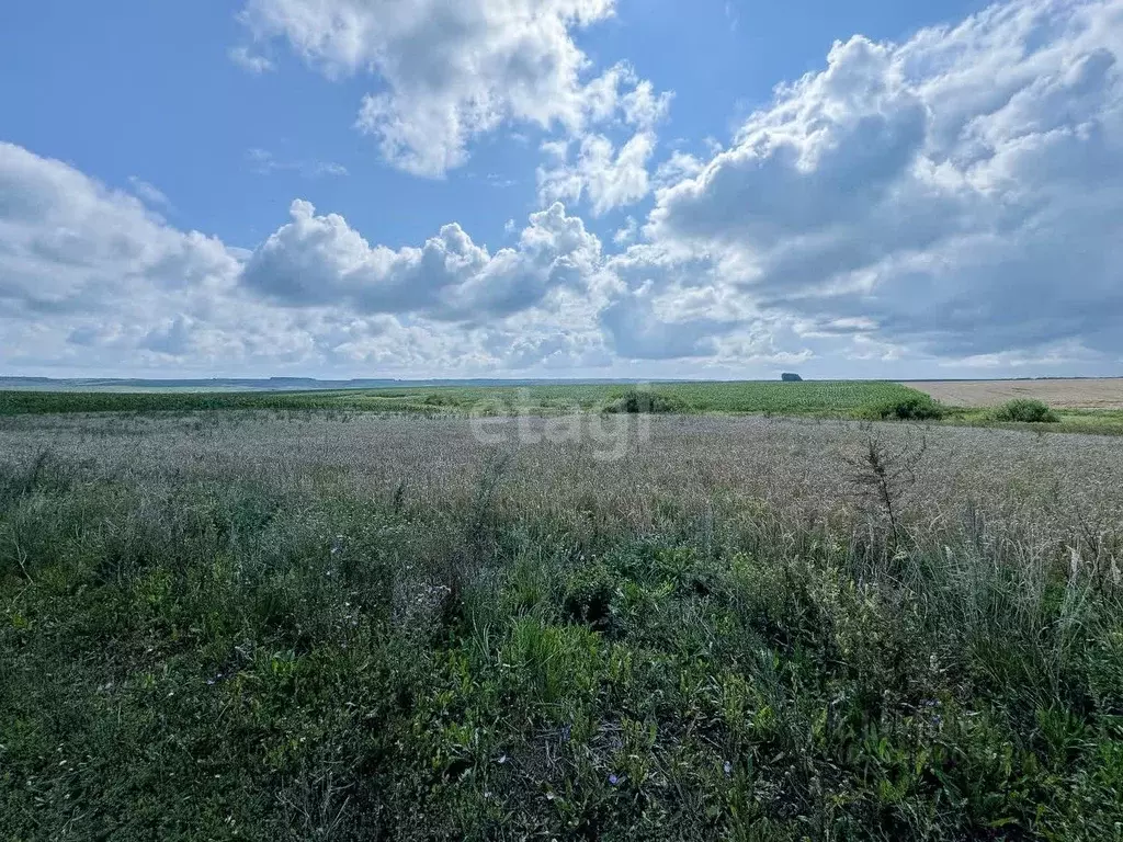 Участок в Мордовия, Лямбирский район, с. Смольково Красная ул. (38.78 ... - Фото 1