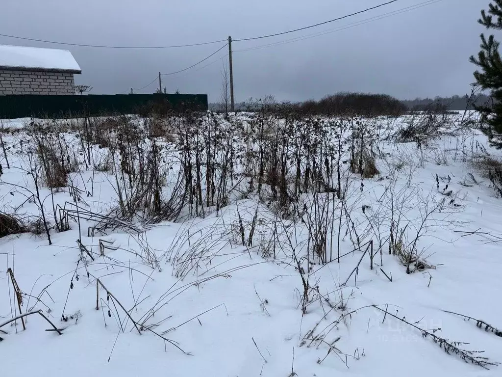 Участок в Московская область, Пушкинский городской округ, д. Никулино  ... - Фото 0